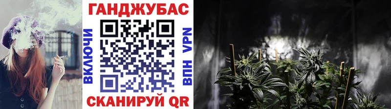 Купить закладку Салаир A-PVP  COCAIN  ГАШИШ  Меф мяу мяу  Канабис 
