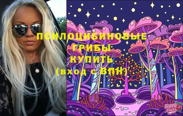 PSILOCYBIN Армянск