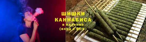 PSILOCYBIN Армянск