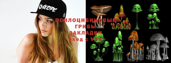 мет Аркадак