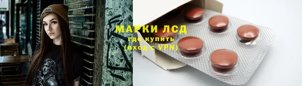 PSILOCYBIN Армянск