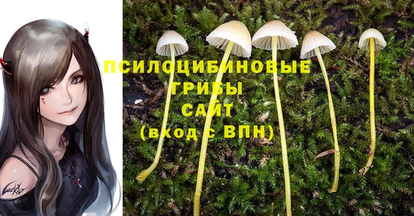 PSILOCYBIN Армянск