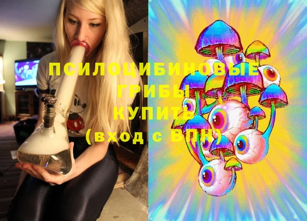 PSILOCYBIN Армянск